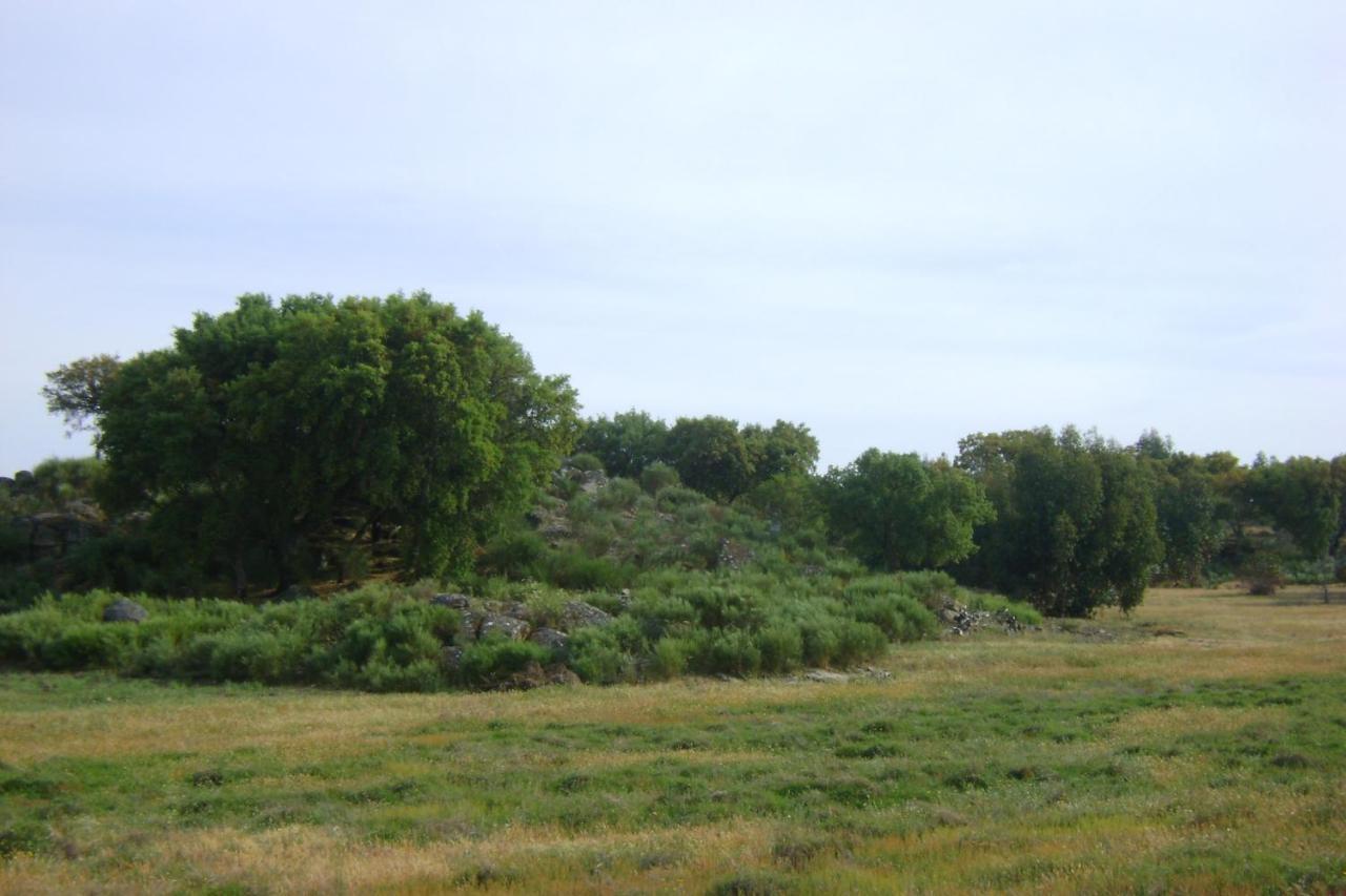 Tapada da Beirã Villa Marvao  Luaran gambar