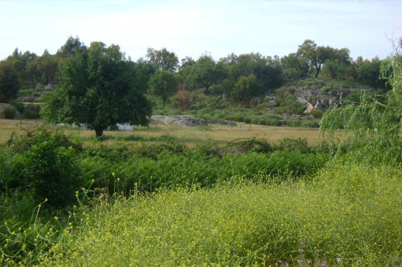 Tapada da Beirã Villa Marvao  Luaran gambar